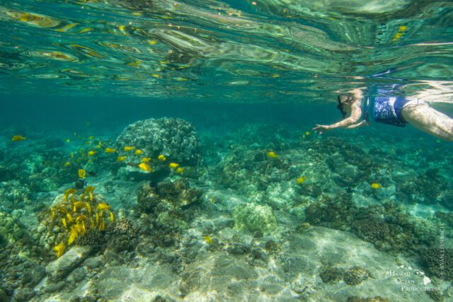 woman snorkeling in the ocean