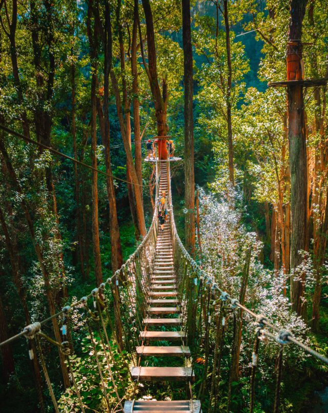 Zipline adventure in Kohala Hawaii Mountain Forest
