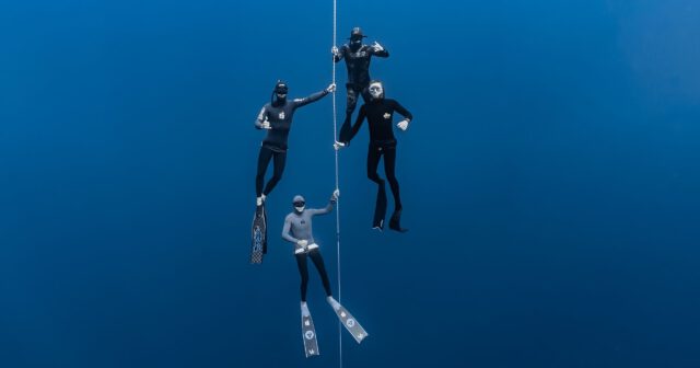 Free Diving Certified Course in Hawaii