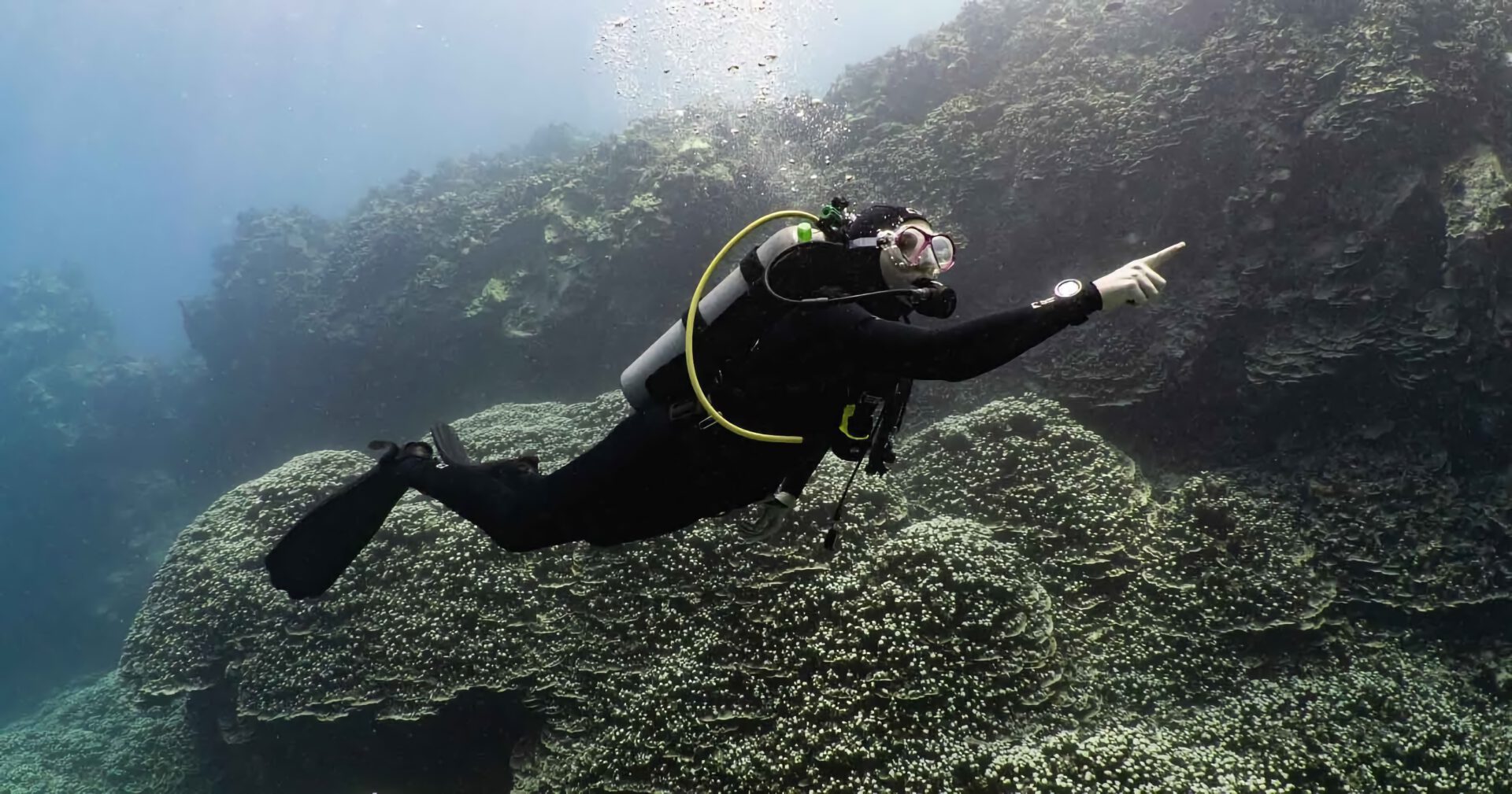 scuba diving on the Hawaiian reefs