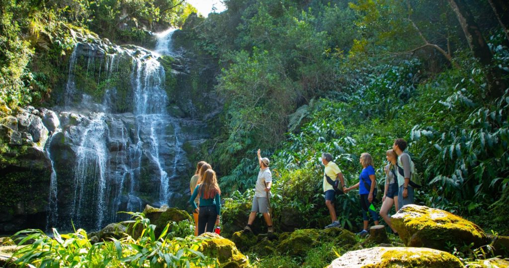 a group of tourists at a waterfall in hawaii
