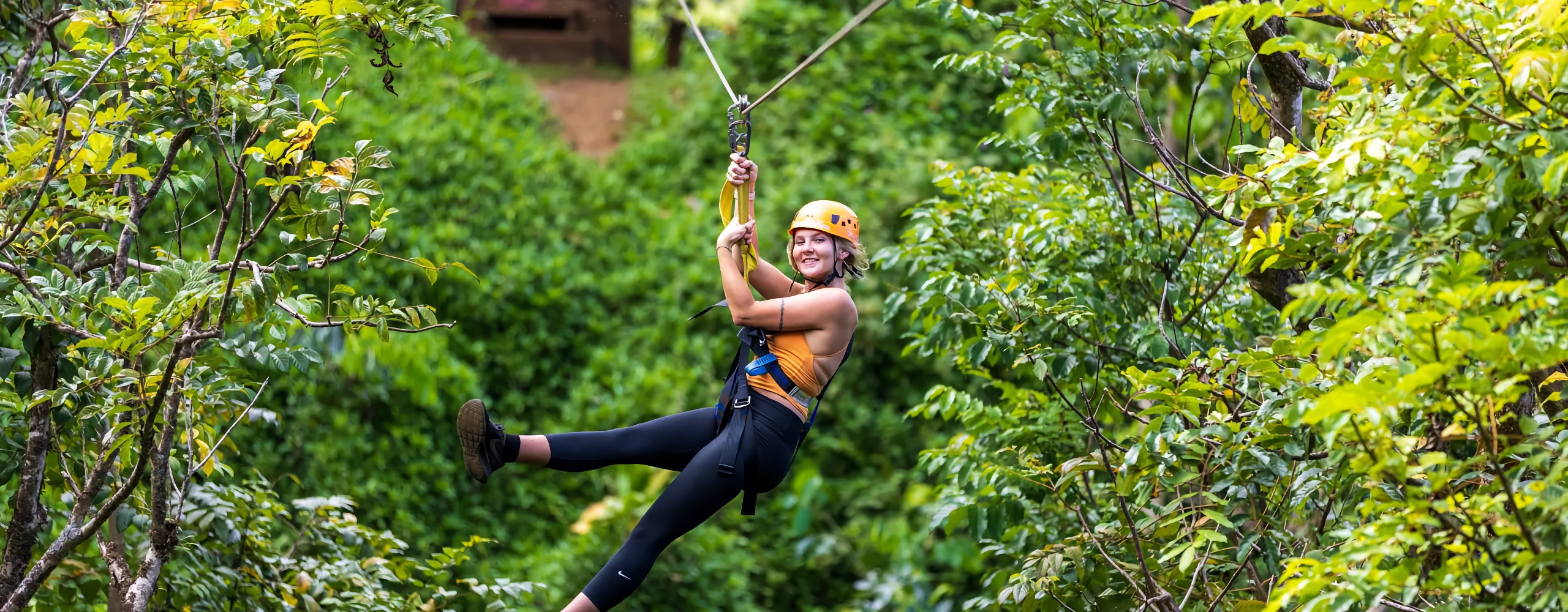 Botanical Word Zip Lines