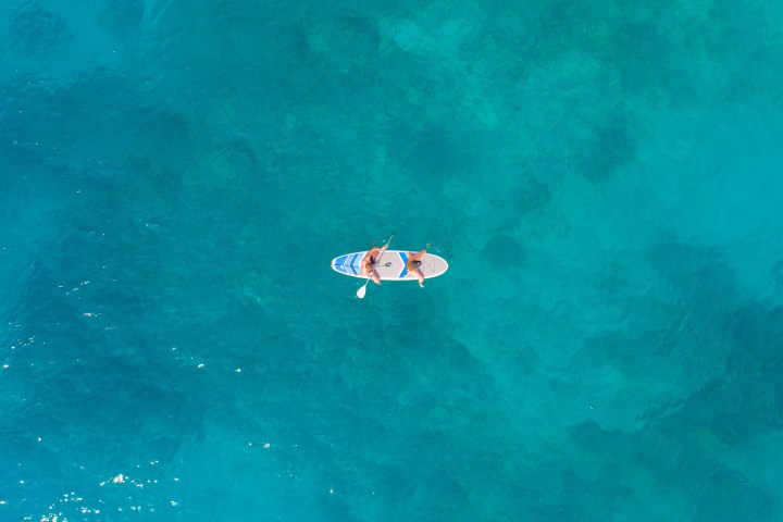 a fish swimming under water