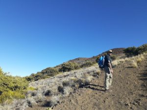 a man walking down a dirt road