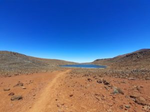 a desert on a dirt road