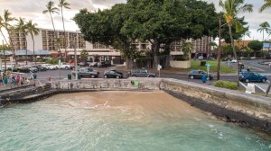 a group of people swimming in a pool of water