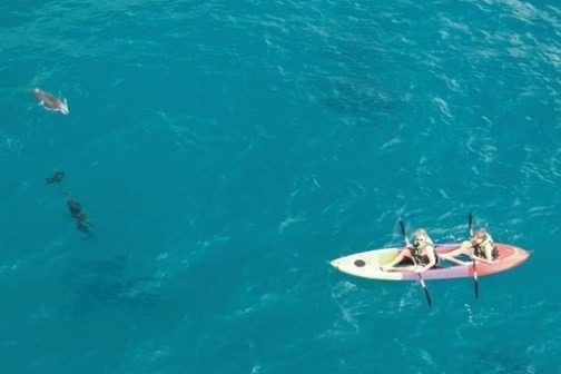 a person riding a wave on a surfboard in the water